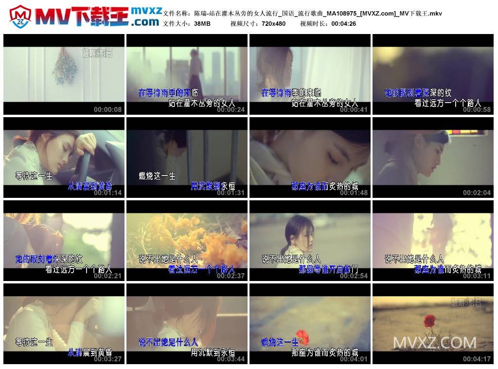 陈瑞-站在灌木丛旁的女人流行_国语_流行歌曲_MA108975